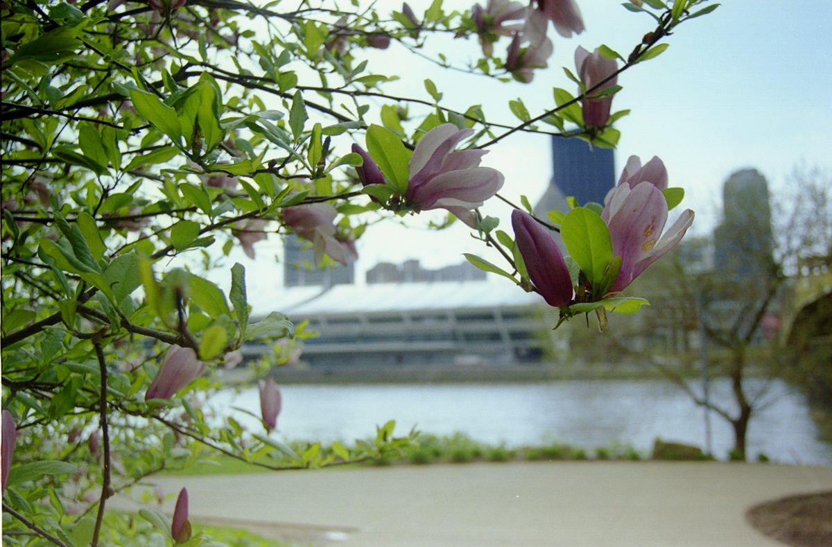 Spring flowers bloom across the Allegheny River from the David L. Lawrence Convention Center. A UMNS photo by Rasul Welch