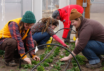 Students at Green Mountain College work in a campus garden where compost created by recycling waste from dorms and the dining hall is used to grow vegetables. Photo courtesy of Green Mountain College.