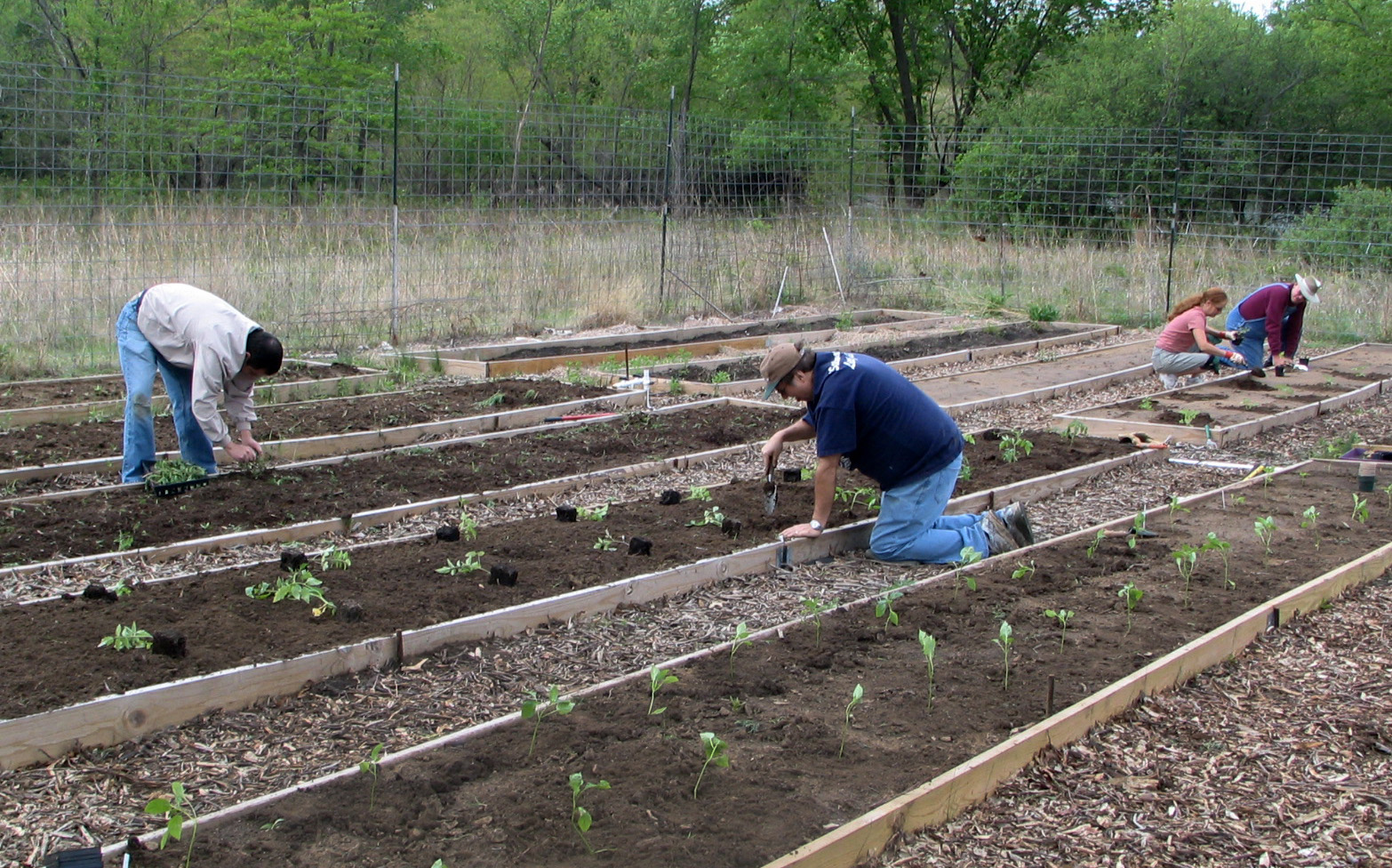 Regardless of rain, drought or summer heat, the volunteer gardeners at the Garden of Eatin’ in Bartlesville, Okla., dig in to bring fresh fruit and veggies to the hungry in their community. The project started as a 2009 Change the World project.