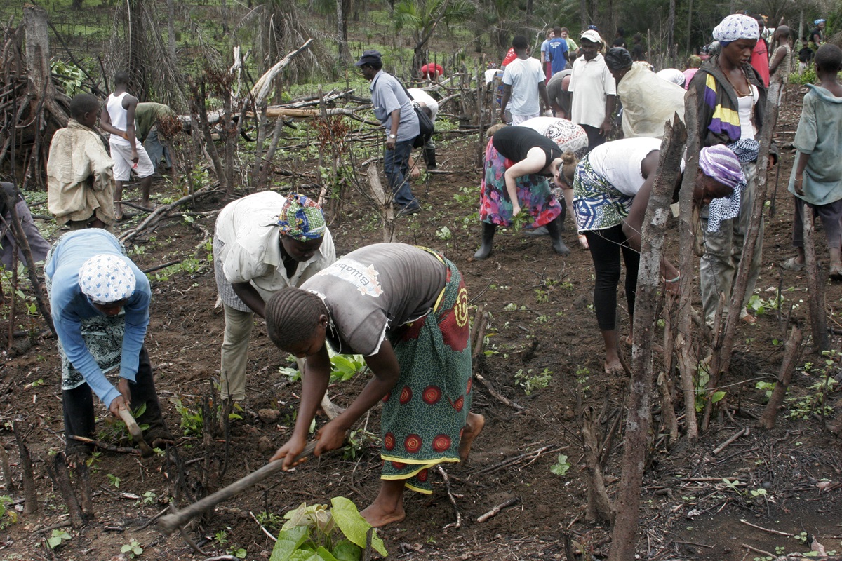 Farmers in Sierra Leone work in their fields. The impact of the Ebola virus has negatively affected  health, agriculture, transportation and the economy. Photo by Jan Snider, United Methodist Communications