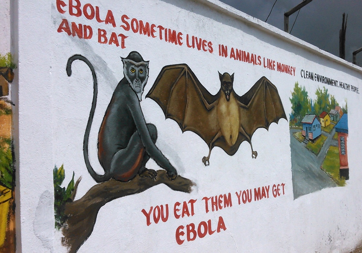 A mural warns against eating animals like bat and monkey as they are potential spreaders of the Ebola virus. This wall painting is one of many used in Liberia in order to use the visual arts to communicate information about Ebola.