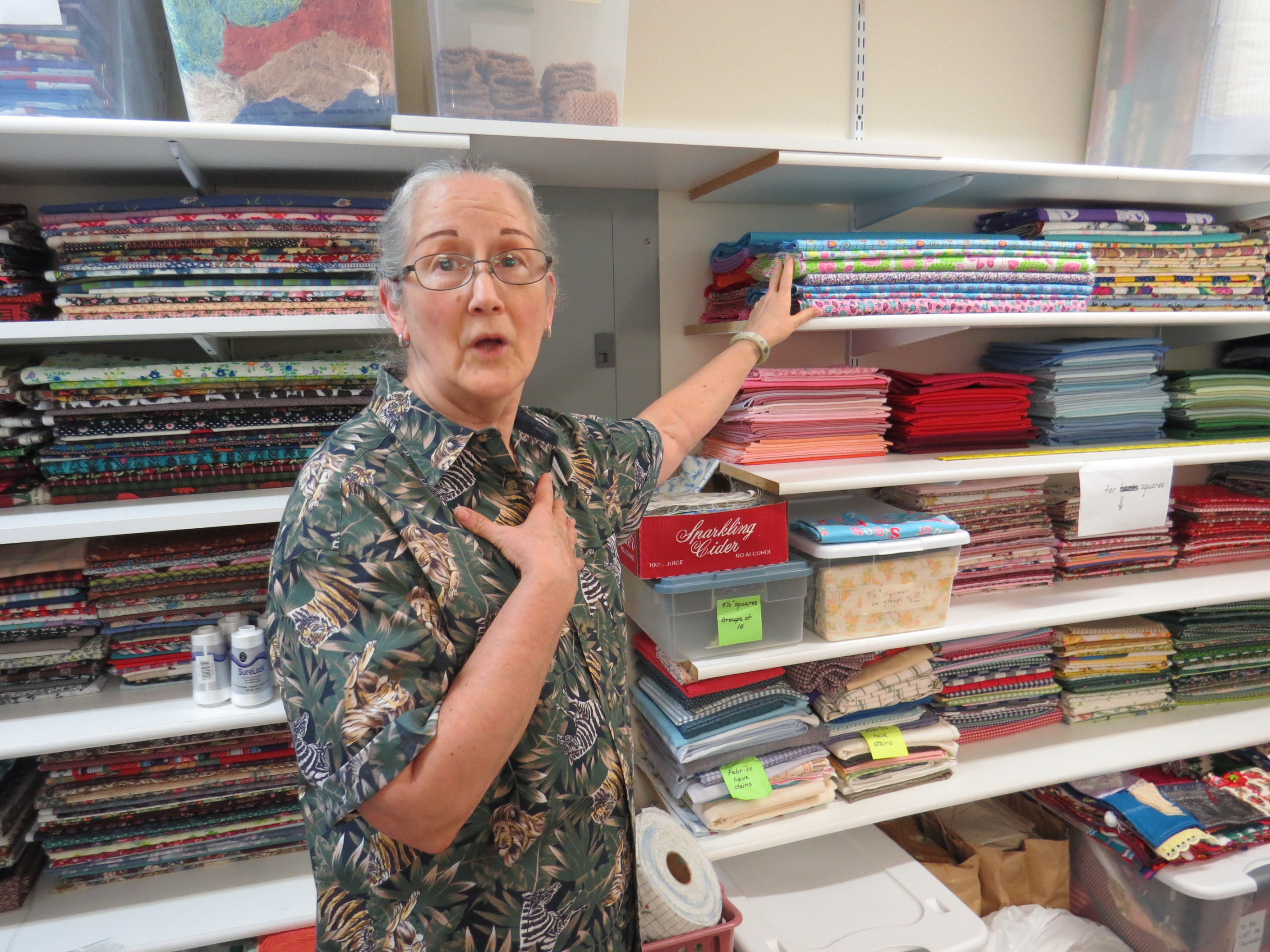 Marsha Leach is currently a heroine of the Women’s Fellowship at Poetry United Methodist Church for having organized its fabric closet. The group gathers monthly to sew for charity. UMNS photo by Sam Hodges