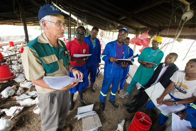 Larry Kies (left) leads agriculture students through a training exercise in the chicken house at the Africa University farm in Mutare, Zimbabwe. Kies, a United Methodist missionary, serves as the farm's technical adviser. Photo by Mike DuBose, UMNS.