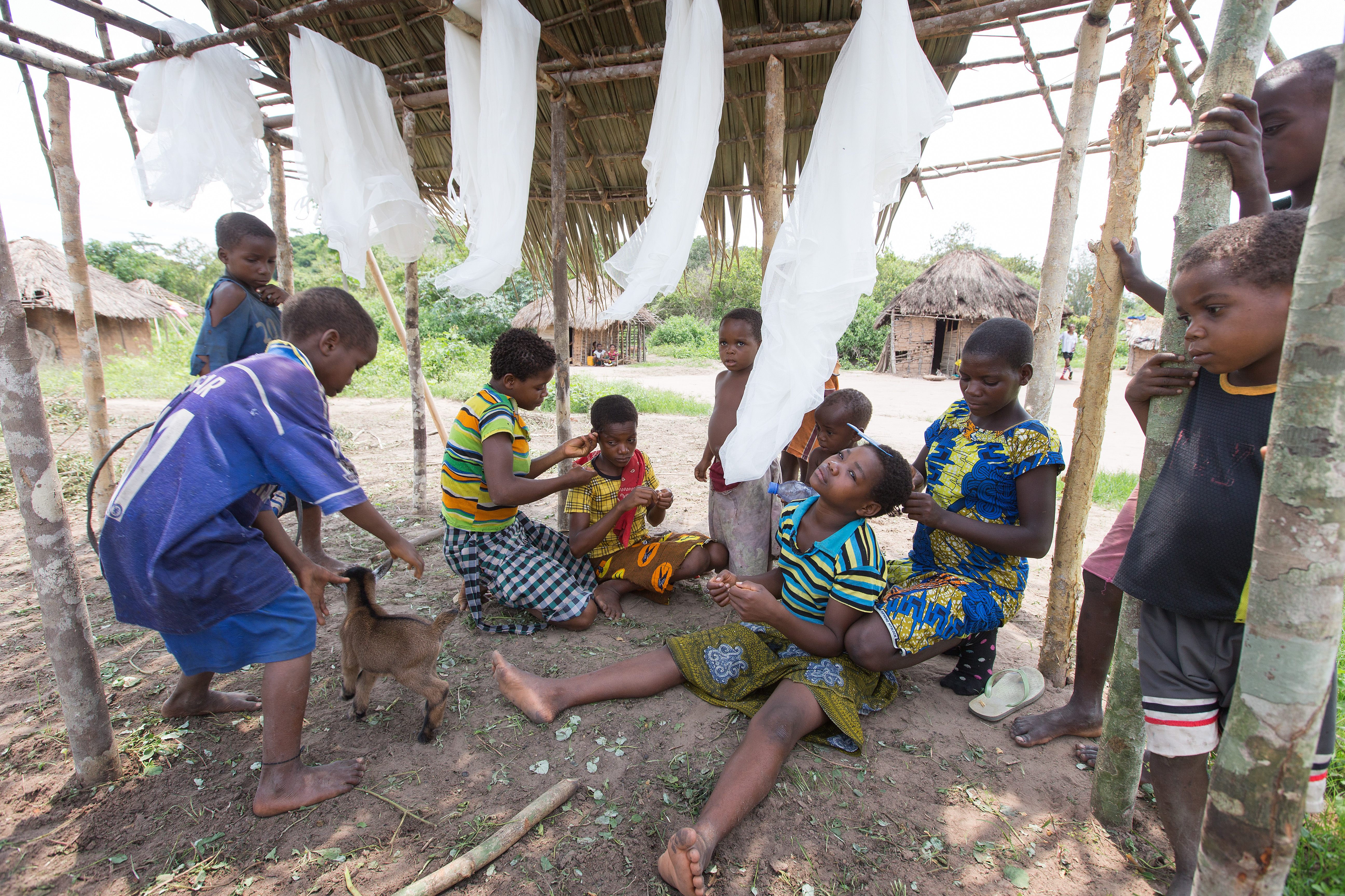 Children groom one another and play with a baby goat in Kanana village, a pygmy community outside Tunda, Democratic Republic of Congo, in October, 2015. Reconciliation between indigenous pygmy tribes and another ethnic group is part of a larger goal for newly elected Bishop Mande Muyombo. File photo by Mike DuBose, UMNS.