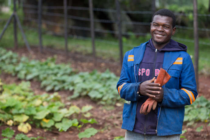 Tsaurai Chibvongodze works in the garden at Morgenster Mission Hospital in Masvingo, Zimbabwe, where the chaya plant is grown to help supplement patients' diets. Photo by Mike DuBose, UMNS.