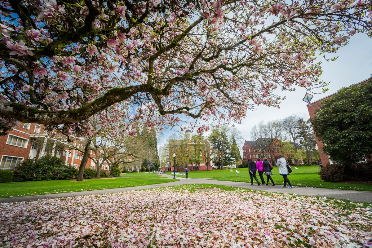 Willamette University, in Salem, Oregon, was founded in 1842 as the first university established in the western United States. It is one of the 119 United Methodist-related schools in the U.S. Photo courtesy of Willamette University.
