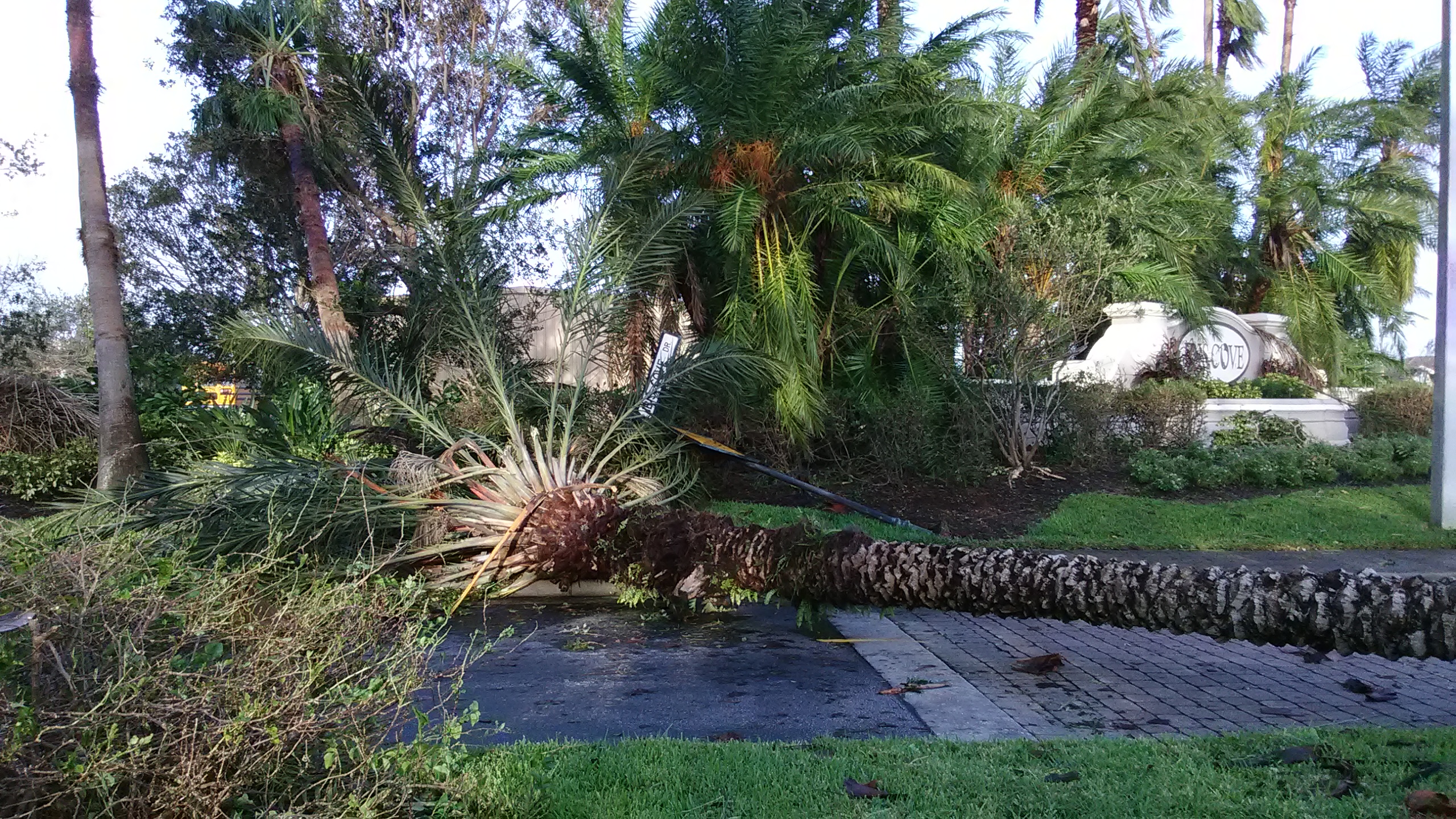 Downed trees in Ibis Cove Circle a neighborhood that includes Cornerstone United Methodist Church in Naples, Fla., from Hurricane Irma. Most of the homes are without power. 