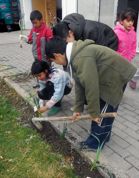 “It’s not just the flowers that blossom — the children flourish as well.” Roma children plant flowers in front of the school building in Ohrid, Macedonia, where they participate in a United Methodist-run school project. Photo courtesy of Christina Cekov.
