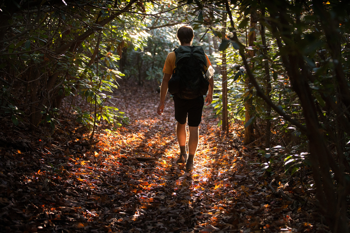 at-chaplain-12 The Rev. Matt Hall hikes through a grove of rhododendron on the Appalachian Trail near Pearisburg, Va.