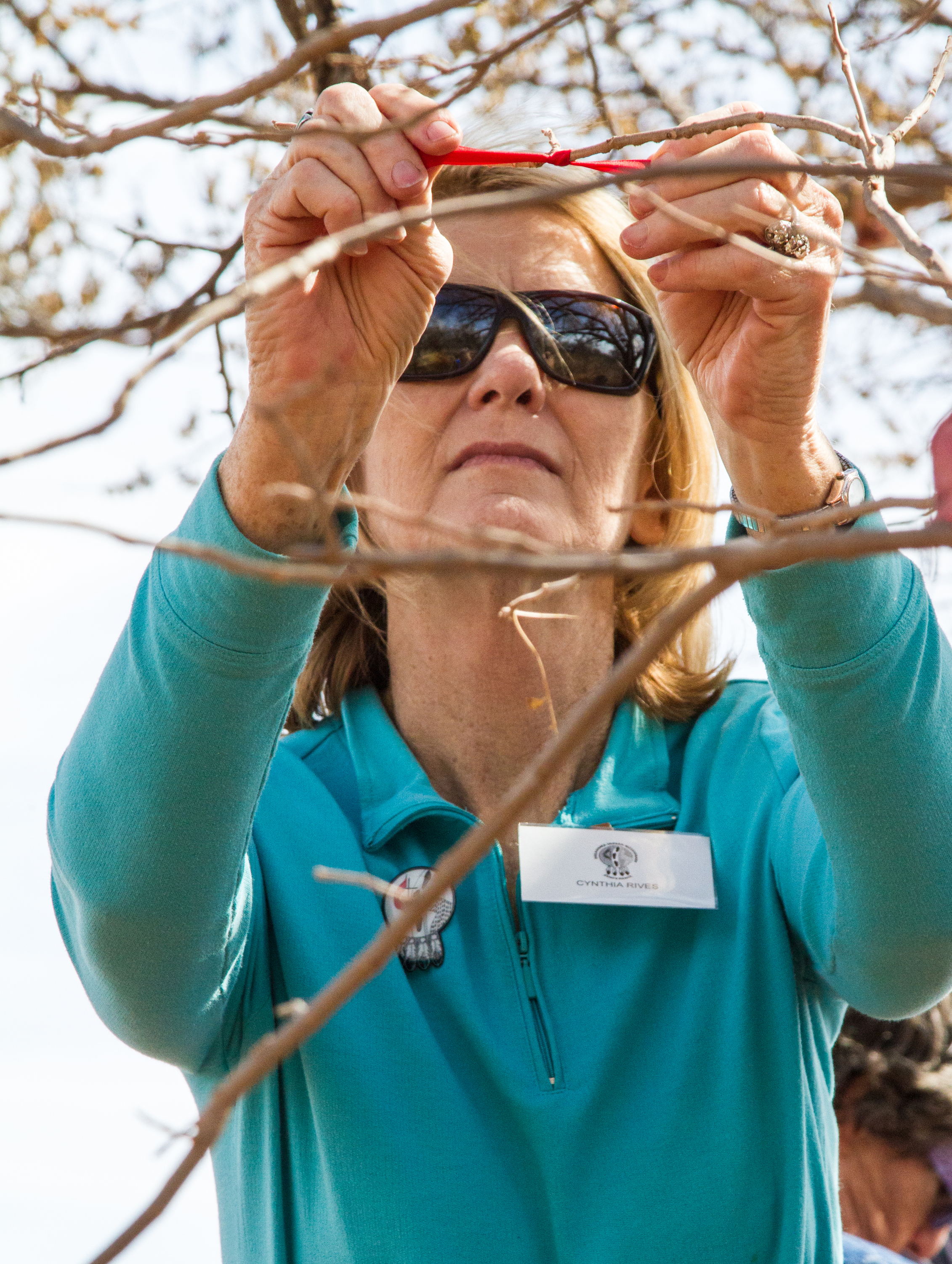 Be sure to add the alt. text