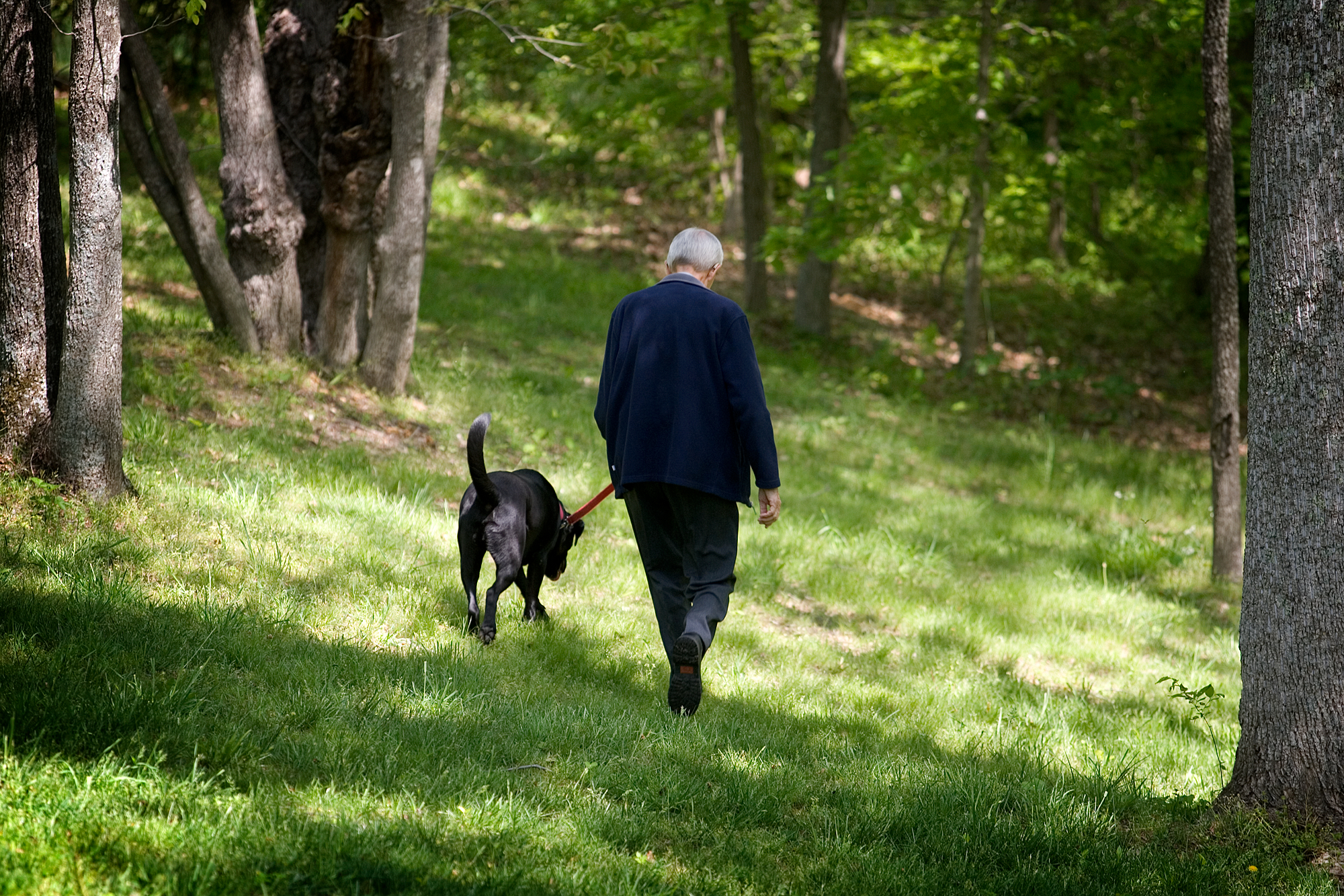 United Methodist Bishop Rueben P. Job walks his dog, Dakota, at his home near Nashville, Tenn. Photo by Mike DuBose, UMNS