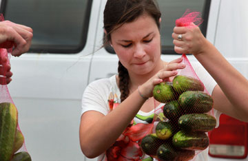 Ana Zele, 18, a member of First United Methodist of Bradenton, Fla., repackages cucumbers that have been gleaned and will be distributed to local food programs in Tampa by the Society of St. Andrew. A UMNS photo by Kathleen Barry.