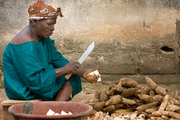 A woman prepares cassava roots outside Trinite United Methodist Church in Yopougon, CÃ´te d'Ivoire. A UMNS photo by Mike DuBose.