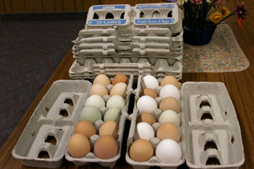 Church members in Bowbells often bring eggs and garden produce to share with one another. A UMSN photo by Jan Snider.
