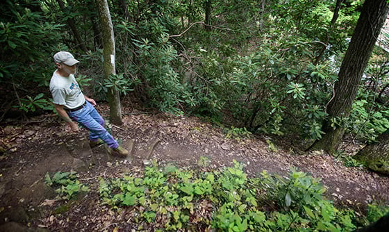 The Rev. Alan Ashworth surveys a section of the Appalachian Trail near Bastian, Va. The United Methodist pastor helps maintain a 70-mile section of the trail through his volunteer work with the Piedmont Appalachian Trail Hikers group. Ashworth hopes to get members of his two churches on the Round Mountain Circuit in Virginia involved with the maintenance work in addition to their other outreach to the trail community. Photo by Mike DuBose, UMNS.