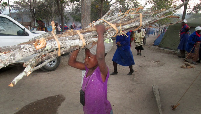 Memory Nyamuriswa, age 10, sells firewood to raise money for her school fees. Photo by Kudzai Chingwe, UMNS