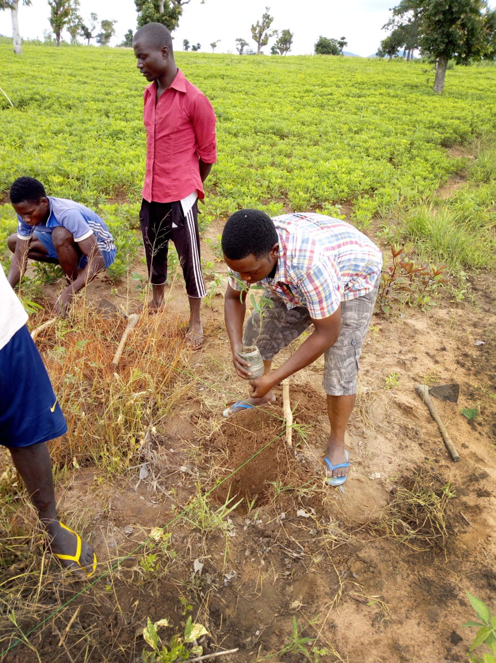 David Villapah, director of the Agricultural Development Project, plants a eucalyptus tree during a tree-planting campaign at the Mayo-Dassa settlement in  Jalingo, Nigeria. This project will preserve soil, improve air and support wildlife. Photo by Sharon Adamu Bambuka, UMNS.
