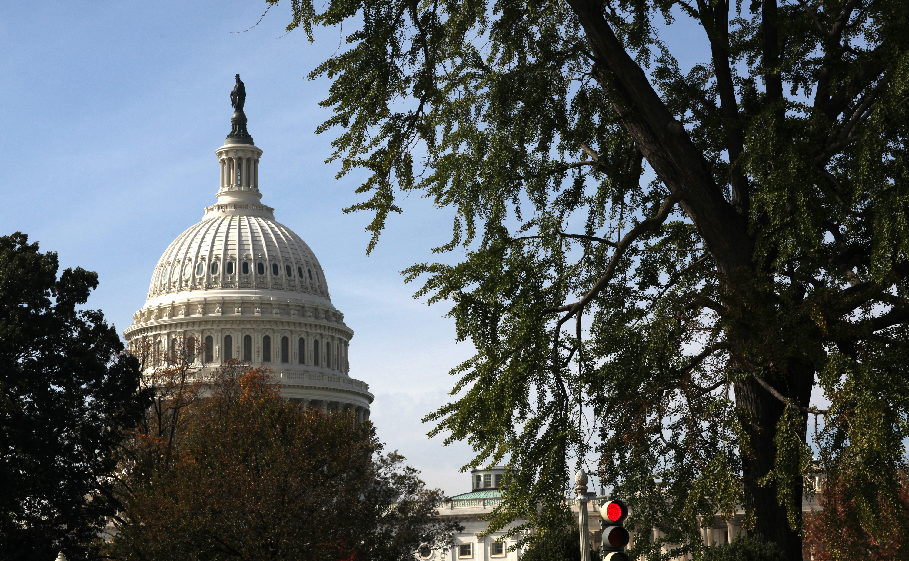 The U.S. Capitol is framed by trees across from the United Methodist Building in Washington, D.C. File photo by Kathleen Barry, UMNS.