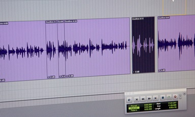 Audio waves are displayed in an editing program.  Audio waves are displayed in an editing program.