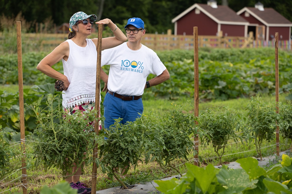 Phyllis Terwilliger takes note of the height of tomato stakes at The Giving Garden, a ministry of Franklin (Tenn.) First United Methodist Church that donates the food grown there to people in need. She and her husband, the Rev. Mark Terwilliger, from Countryside Community Church, a United Methodist fellowship in Clarks Summit, Pa., were attending the 2019 United Methodist Creation Care Summit in Nashville, Tenn. Photo by Mike DuBose, UM News. Phyllis Terwilliger takes note of the height of tomato stakes at The Giving Garden, a ministry of Franklin (Tenn.) First United Methodist Church that donates the food grown there to people in need. She and her husband, the Rev. Mark Terwilliger, from Countryside Community Church, a United Methodist fellowship in Clarks Summit, Pa., were attending the 2019 United Methodist Creation Care Summit in Nashville, Tenn. Photo by Mike DuBose, UM News.