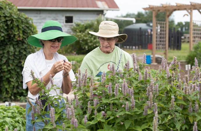 Cheryl Marcum (left) of Stockton (Mo.) United Methodist Church and Diane Rusnak of Front Royal (Va.) United Methodist Church sample herbs at The Giving Garden at Franklin (Tenn.) First United Methodist Church. They were attending the 2019 United Methodist Creation Care Summit. Photo by Mike DuBose, UM News.
