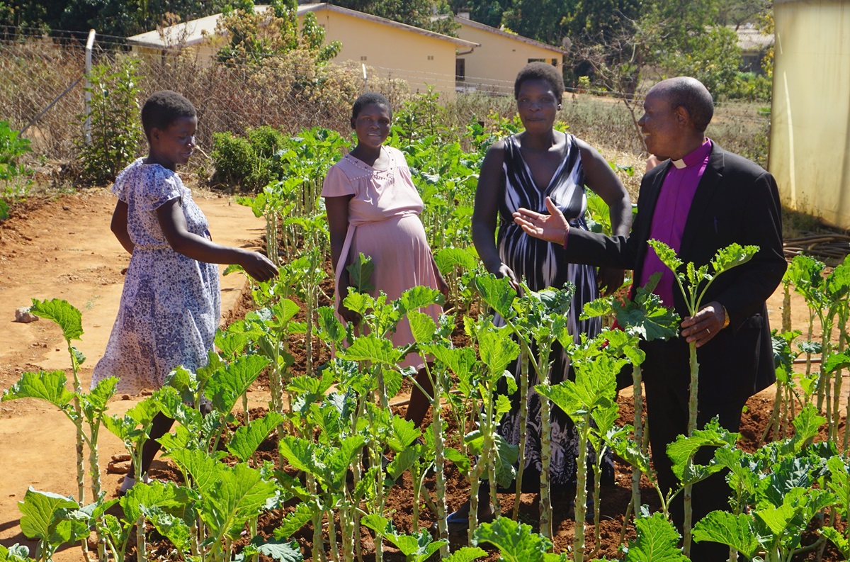 Expectant mothers give Bishop Eben K. Nhiwatiwa a tour of the vegetable garden they are tending at the Old Mutare Mission Hospital in Mutare, Zimbabwe. The garden provides nutrition, exercise and an opportunity to learn skills they can use when they return home after delivering their babies. From left are: Resistance Maphosa, Marvellous Chimbidzikai and Sophia Chindondondo. Photo by Kudzai Chingwe, UM News. Expectant mothers give Bishop Eben K. Nhiwatiwa a tour of the vegetable garden they are tending at the Old Mutare Mission Hospital in Mutare, Zimbabwe. The garden provides nutrition, exercise and an opportunity to learn skills they can use when they return home after delivering their babies. From left are: Resistance Maphosa, Marvellous Chimbidzikai and Sophia Chindondondo. Photo by Kudzai Chingwe, UM News.