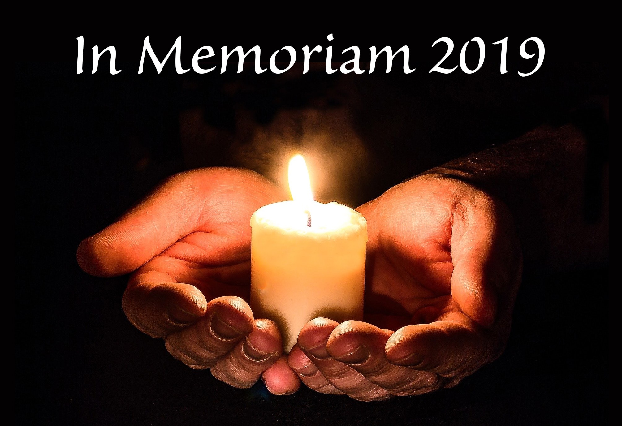 Photo by Myriam Zilles, courtesy of Pixabay