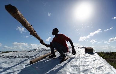 Jorge João Novo soulève un poteau en bois pour aider à fixer une bâche d'urgence sur sa maison après que le toit ait été arraché par le cyclone Idai à Buzi, au Mozambique. Photo de Mike DuBose, UM News. Jorge João Novo soulève un poteau en bois pour aider à fixer une bâche d'urgence sur sa maison après que le toit ait été arraché par le cyclone Idai à Buzi, au Mozambique. Photo de Mike DuBose, UM News.