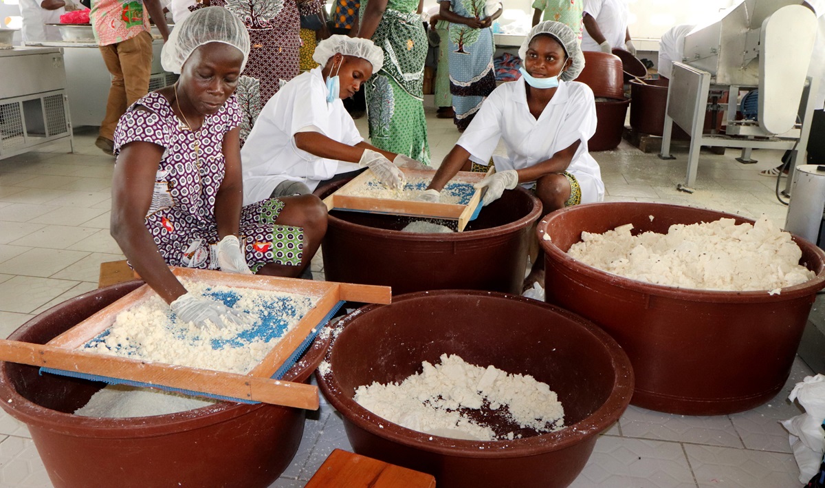 Des femmes Méthodistes Unies transforment les tubercules de manioc en attiéké, un plat traditionnel ivoirien, dans une nouvelle usine de transformation semi-mécanisée à Anyama, en Côte d'Ivoire. Un don de 200 000 dollars de UMCOR a contribué à financer l'usine de production. Photo de Isaac Broune, UM News. Des femmes Méthodistes Unies transforment les tubercules de manioc en attiéké, un plat traditionnel ivoirien, dans une nouvelle usine de transformation semi-mécanisée à Anyama, en Côte d'Ivoire. Un don de 200 000 dollars de UMCOR a contribué à financer l'usine de production. Photo de Isaac Broune, UM News.