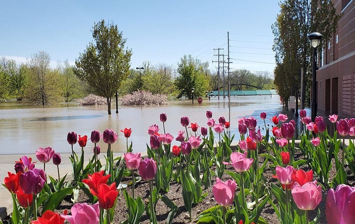 Vista de la inundación en la parte posterior de la Primera Iglesia Metodista Unida Midland en el estado de Michigan. Foto cortesía de la Primera IMU Midland. Vista de la inundación en la parte posterior de la Primera Iglesia Metodista Unida Midland en el estado de Michigan. Foto cortesía de la Primera IMU Midland.