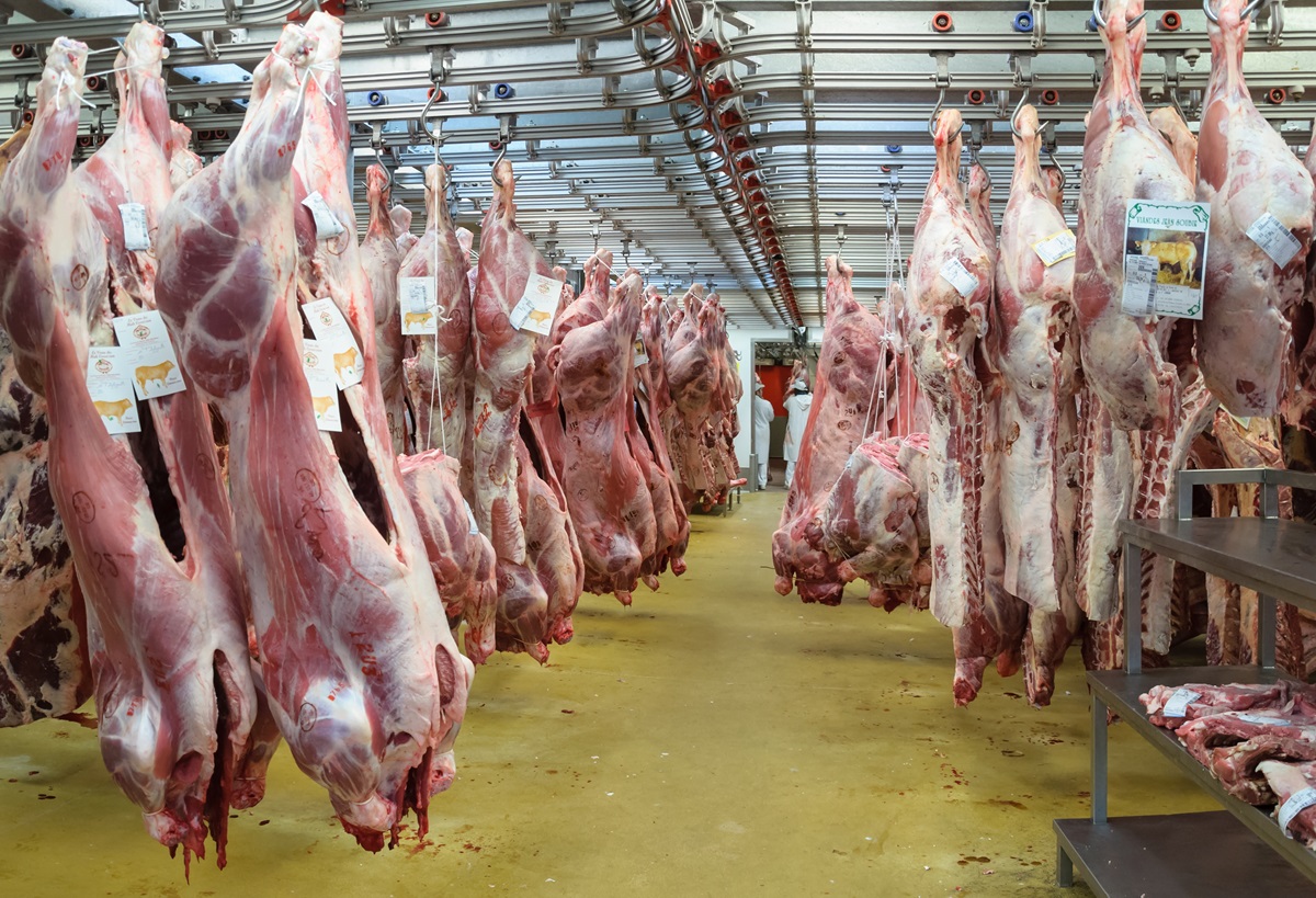 Segundo o Centro de Doenças Transmissíveis (CDC por suas siglas em inglês), mais de 16.000 trabalhadores de 239 frigoríficos foram infectados com COVID-19 nos primeiros seis meses de 2020. Desse número, mais da metade dos trabalhadores infectados são latinos. Foto cedida pela Wikipedia. Segundo o Centro de Doenças Transmissíveis (CDC por suas siglas em inglês), mais de 16.000 trabalhadores de 239 frigoríficos foram infectados com COVID-19 nos primeiros seis meses de 2020. Desse número, mais da metade dos trabalhadores infectados são latinos. Foto cedida pela Wikipedia.