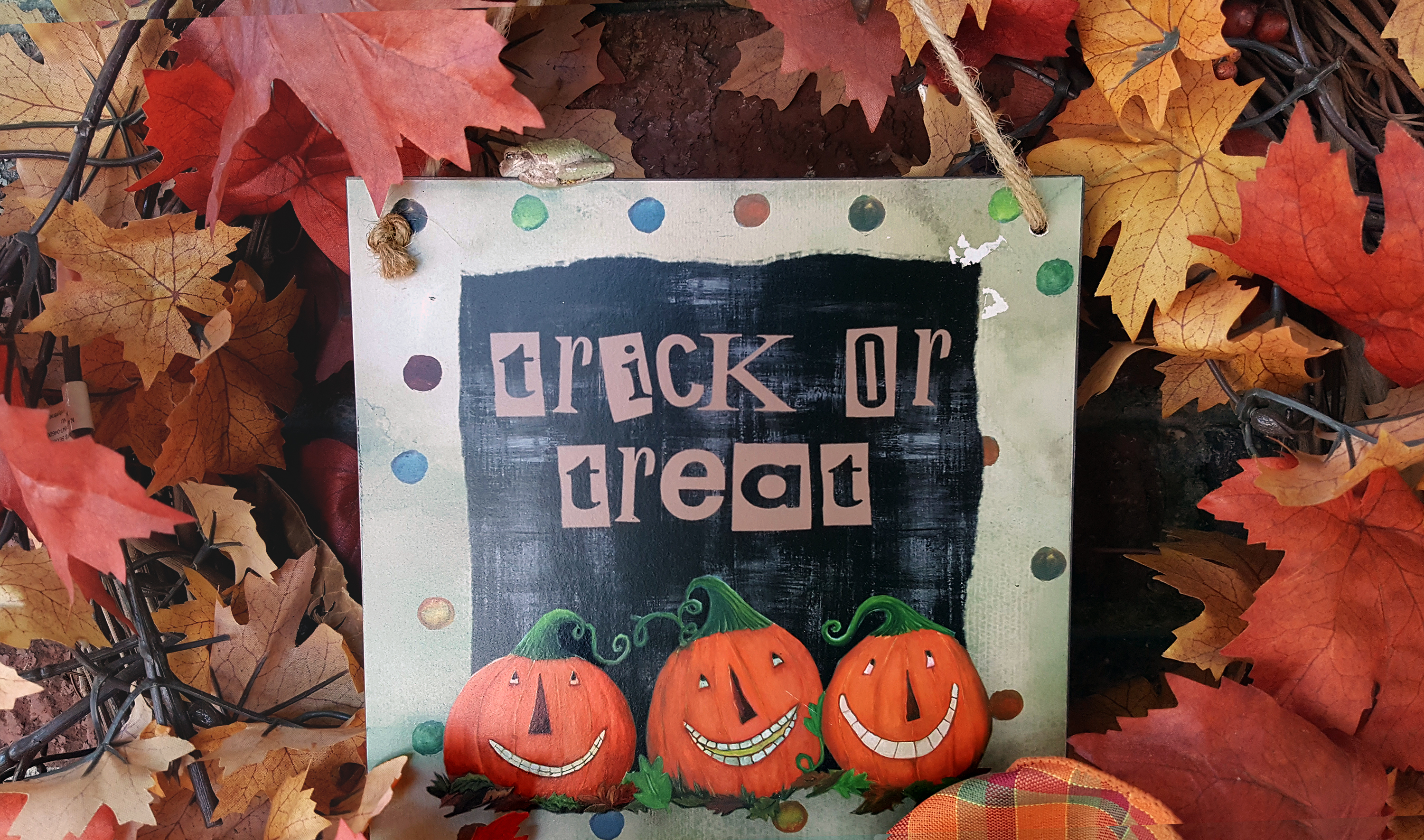 사진, 로렌스 글래스, 연합감리교뉴스.  