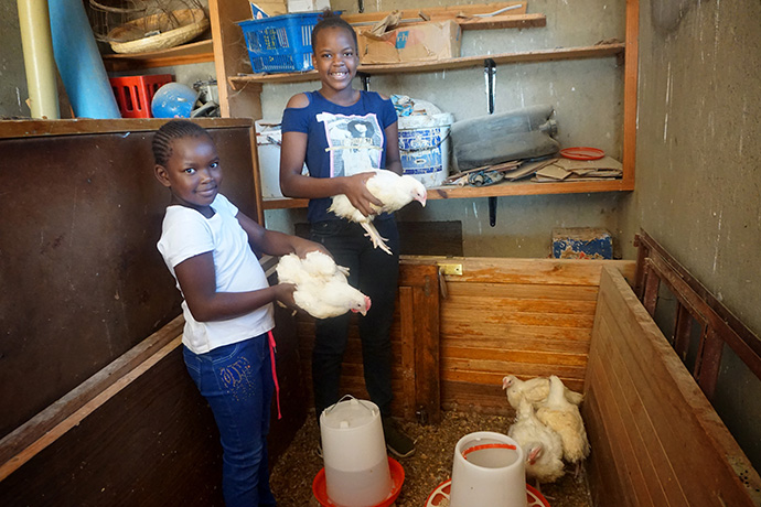 Rutendo Chirowa, 8, and her sister Ruvimbo, 13, hold chickens they have named Ignatius and Miko. The girls’ mother is the Rev. Juliet Chirowa, pastor of Innercity Rusape United Methodist Church in Zimbabwe. Photo by Kudzai Chingwe, UM News.