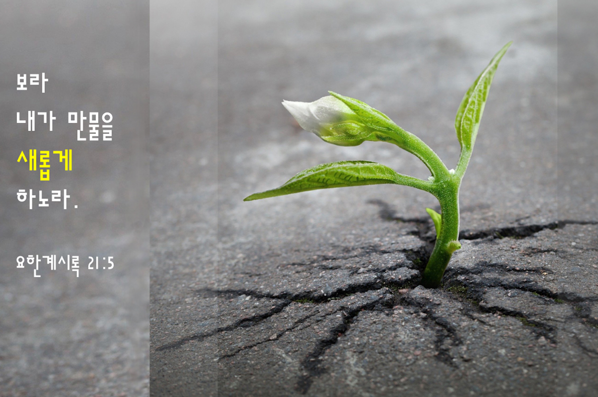 기억 활동가들: 동시대 동남아시아 퍼포먼스 아카이브 - 아트선재센터, image size:1200x798