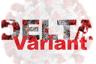 Les Centres américains de contrôle et de prévention des maladies déclarent que la variante delta du coronavirus est très contagieuse, "Deux fois plus contagieuse que les variantes précédentes". Graphique reproduit avec l'aimable autorisation des Centres américains de contrôle et de prévention des maladies. Les Centres américains de contrôle et de prévention des maladies déclarent que la variante delta du coronavirus est très contagieuse, "Deux fois plus contagieuse que les variantes précédentes". Graphique reproduit avec l'aimable autorisation des Centres américains de contrôle et de prévention des maladies.