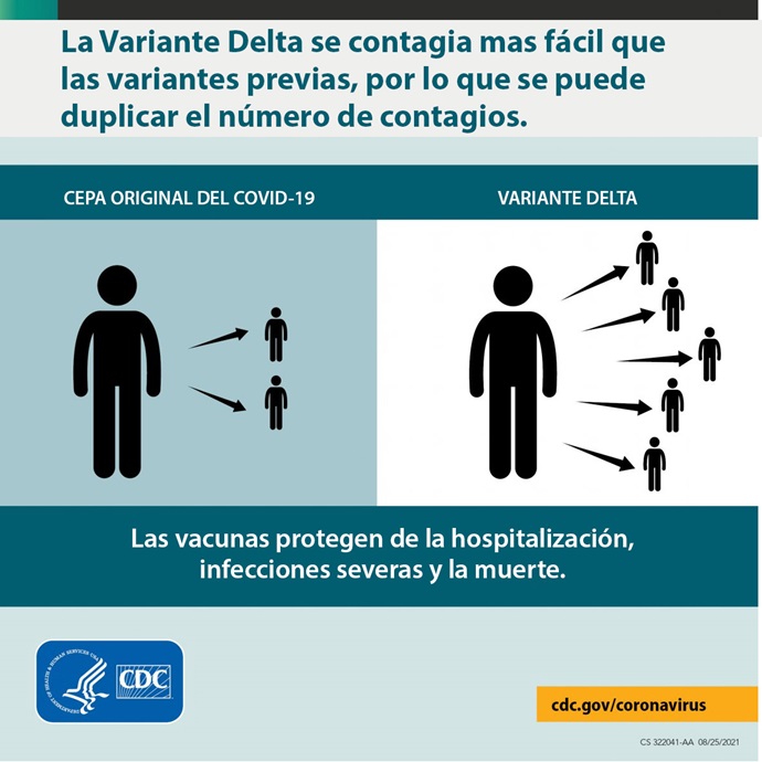 Los Centros para el Control y la Prevención de Enfermedades de los Estados Unidos afirman que la variante delta del COVID-19 es altamente contagiosa, "más del doble de contagiosa que las variantes anteriores". Gráfico original cortesía de los Centros para el Control y la Prevención de Enfermedades de los Estados Unidos. Versión en español Rev. Gustavo Vasquez, Noticias MU. 