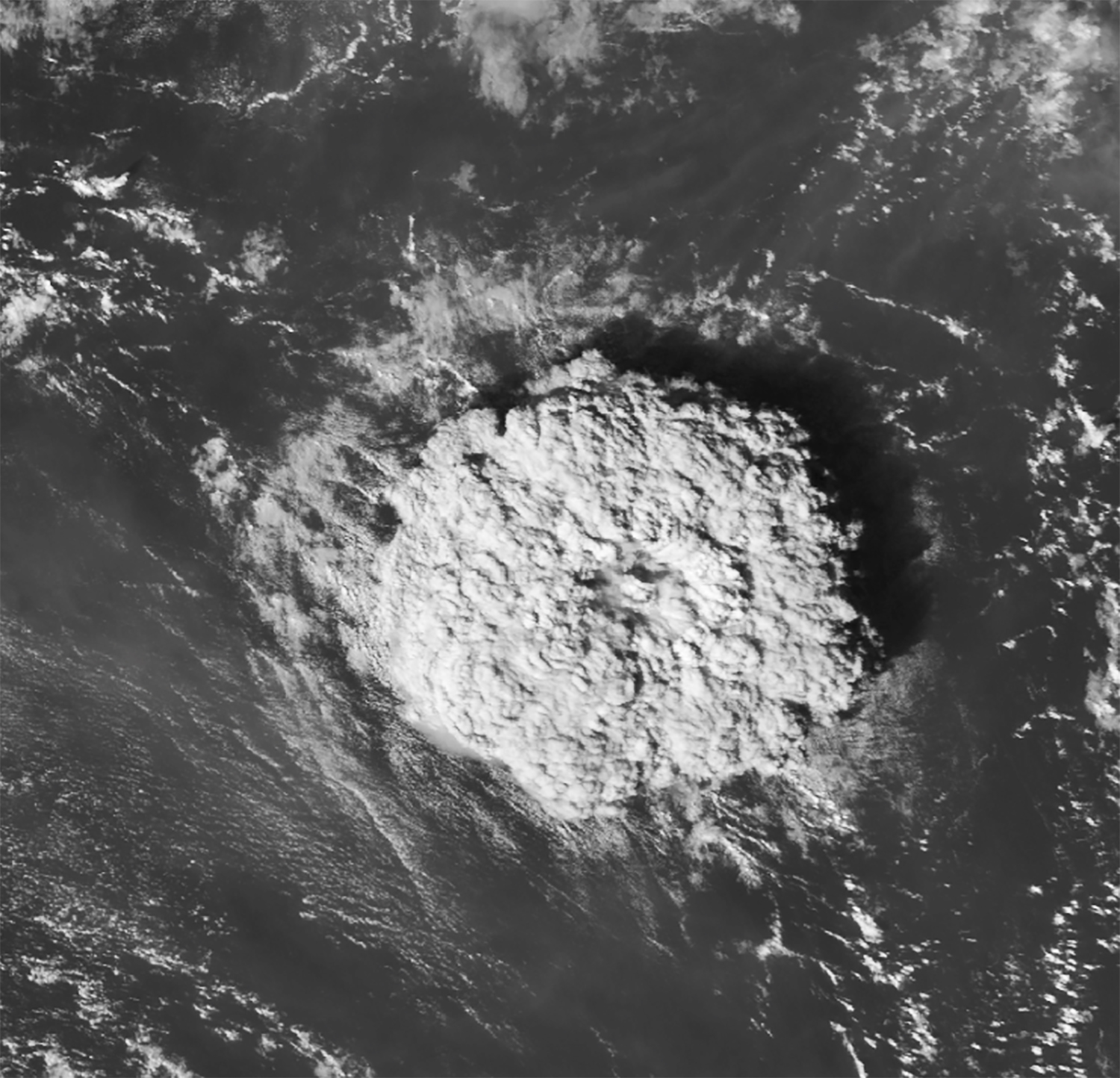 Imagen satelital de la erupción del volcán Hunga Tonga-Hunga Ha'apai, ubicado en el Reino de Tonga, al sur del Océano Pacífico. Foto cortesía de Wiki-pedia.