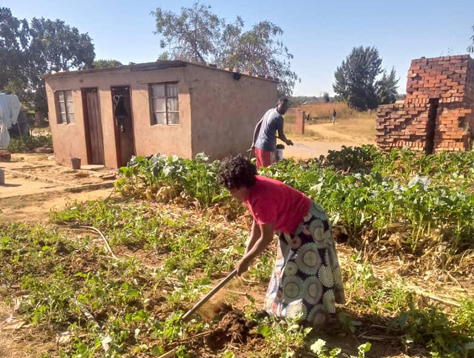 Phildah Matemarunda, a widow, prepares her garden for planting. She is part of a United Methodist agricultural program that educates and encourages women as they learn new skills to help their families survive. Photo by Chenayi Kumuterera, UM News.