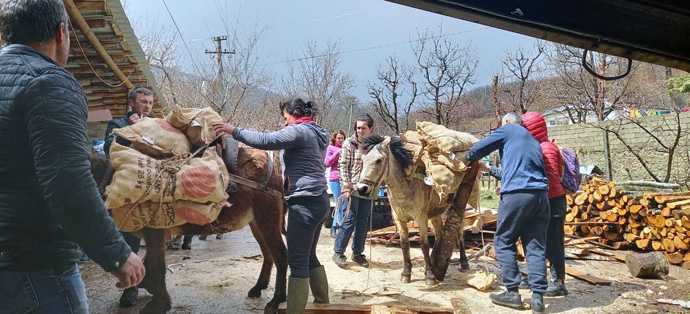 As part of an agricultural program created by the United Methodist Church in Albania, 10 families each received 300 kg of high-quality seed potatoes to cultivate an area of 1,000 square meters each. In the first year, this project has improved the living conditions of about 100 people. Photo courtesy of Jean Nausner.
