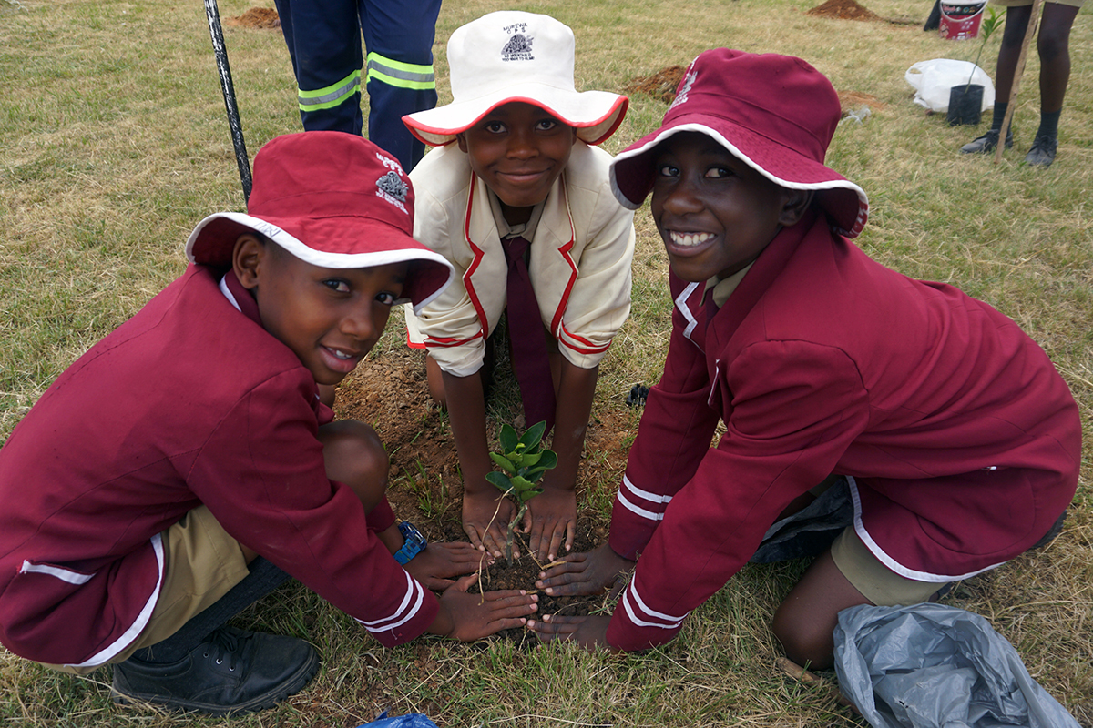 Kids Help Plant Trees To Fight Climate Change kids-help-plant-trees-to-fight-climate-change