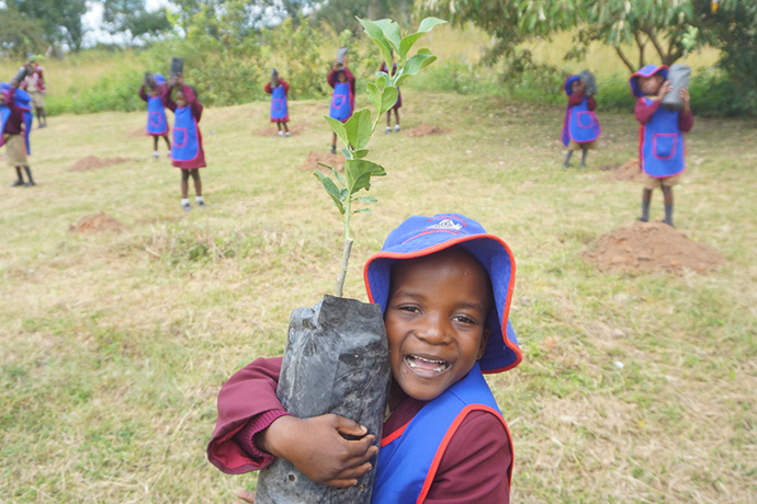 Five-year-old Munyaradzi Mushonga, a student at The United Methodist Church’s Murewa Central Primary School in Zimbabwe, holds her tree tightly after learning of the importance of trees for food, income and the environment. Students helped plant more than 400 trees as part of an ecumenical project funded by the All Africa Conference of Churches. Photo by Kudzai Chingwe, UM News.