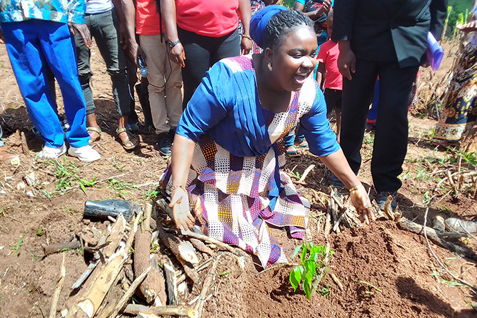 Rosa Raradza, administradora distrital de Macate, planta uma arvore de mangueira no projecto agrícola em Manica. Foto de Eurico Gustavo.