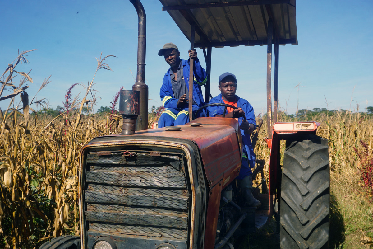 Nyadire Mission farm hand Gadzai Kafeso (left) rides along as Tedias Salad drives a tractor during harvesting of the farm’s maize crop in April in Mutoko, Zimbabwe. The farm’s only tractor was repaired through funding from the Yambasu Agriculture Initiative. Photo by Kudzai Chingwe, UM News. 
