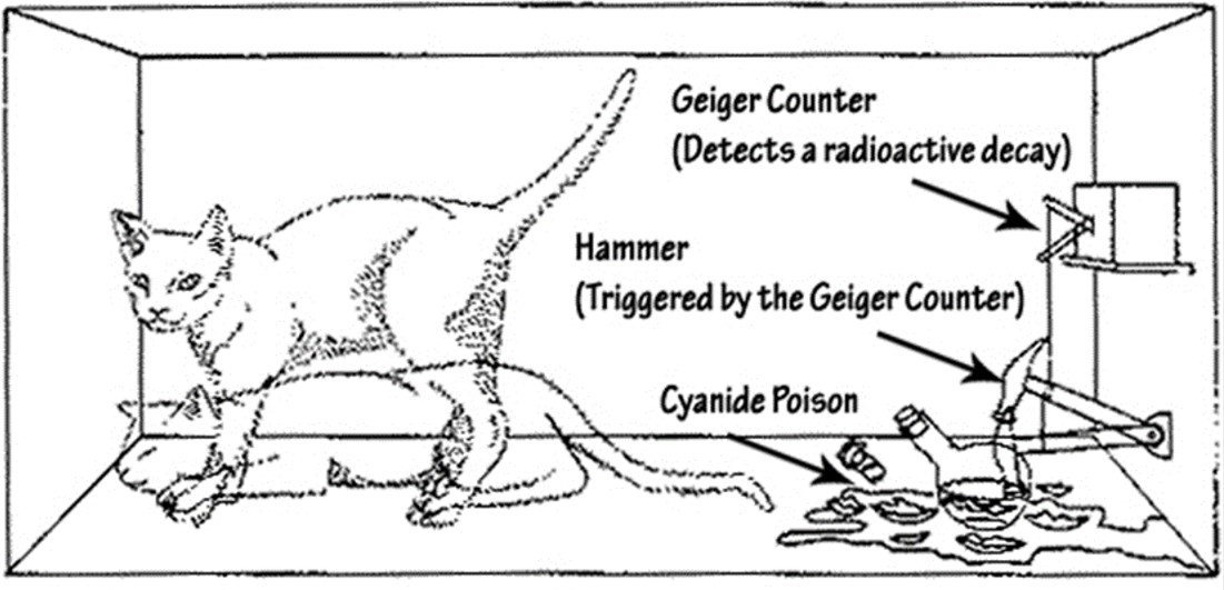 박스 안에 있는 쉬뢰딩거의 고양이를 표현한 그래픽. 출처, 코스모스, 2020년 1월 1일.