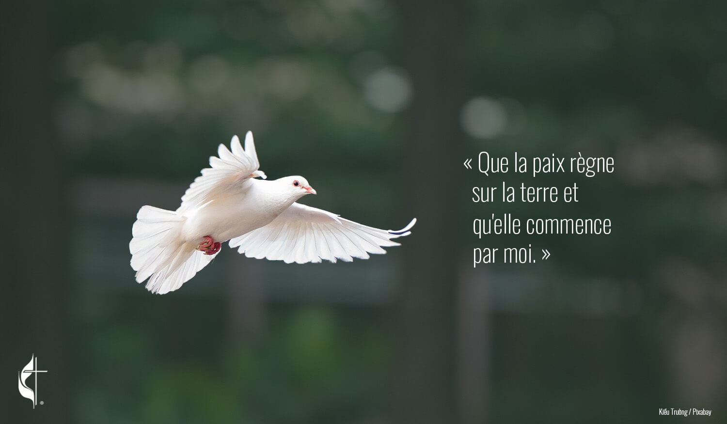 Les dirigeants Méthodistes Unis appellent au rétablissement de la paix au lendemain d'une tentative d'assassinat contre l'actuel candidat à la présidence et l'ancien président Donald Trump. Photo de Kiều Trường, avec l'autorisation de Pixabay ; graphique de Laurens Glass, UM News.