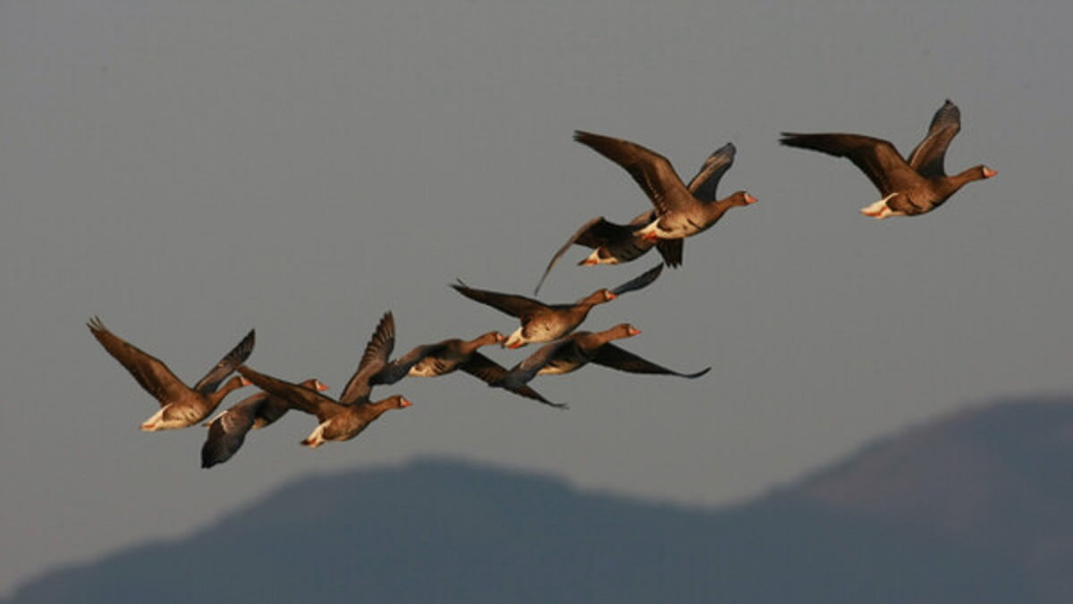 사진 출처, 소년한국일보.