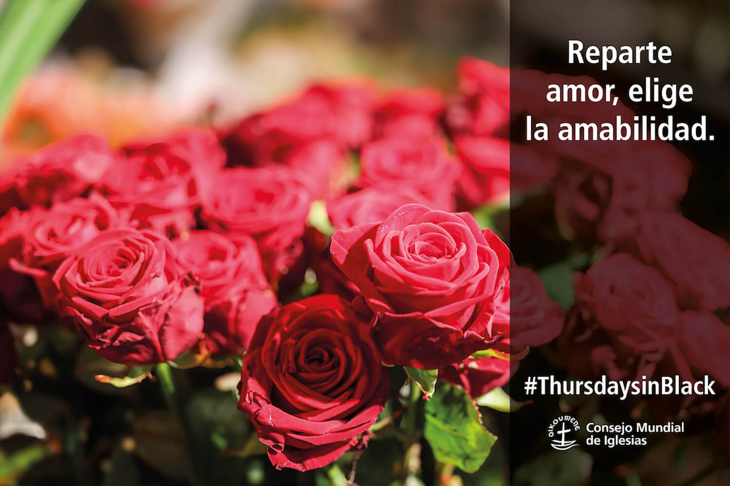 Celebremos el amor: compartamos los mensajes de los Jueves de Negro para el Día de San Valentín. Foto cortesía del Consejo Mundial de Iglesias.