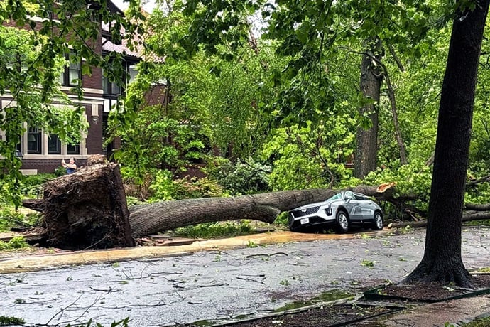 An uprooted tree lies across a crushed car in the neighborhood of Grace United Methodist Church’s parsonage in St. Louis. United Methodists are responding in Missouri, Kentucky and other states after violent storms tore across the central U.S., leaving at least 28 people dead. Photo by the Rev. Katie Nix, Grace United Methodist Church, courtesy of the Missouri Conference. An uprooted tree lies across a crushed car in the neighborhood of Grace United Methodist Church’s parsonage in St. Louis. United Methodists are responding in Missouri, Kentucky and other states after violent storms tore across the central U.S., leaving at least 28 people dead. Photo by the Rev. Katie Nix, Grace United Methodist Church, courtesy of the Missouri Conference.
