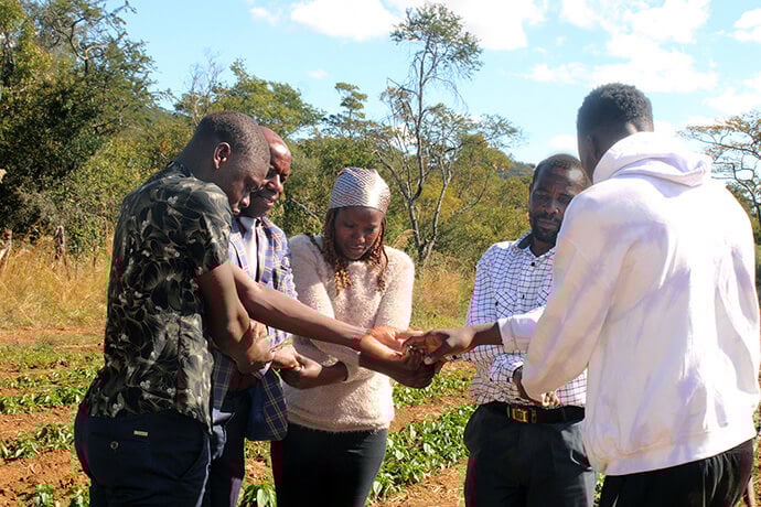 Le Pasteur Gladman Kundhlande, qui dirige le United Methodist Youth Fellowship dans le circuit de Murehwa South East (deuxième à partir de la gauche), prie pour que Tafadzwa Chingosho (à gauche) continue à réussir dans son objectif de devenir agriculteur. L'agronome Stella Samanga (au centre), Julius Chingosho et Emmanuel Rukure sont également présents. Photo par Kudzai Chingwe, UM News.