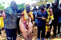 Sua Reverendíssima Bispo Moisés Bernardo Jungo, prestigia entrega simbólica de casal de suínos a Soba Maria Cadia, durante visita no circuito da Kimbamba, Distrito Eclesiástico do Quéssua, no encerramento da segunda fase do projecto Yambasu. Foto de João Nhanga, Notícias MU.  Sua Reverendíssima Bispo Moisés Bernardo Jungo, prestigia entrega simbólica de casal de suínos a Soba Maria Cadia, durante visita no circuito da Kimbamba, Distrito Eclesiástico do Quéssua, no encerramento da segunda fase do projecto Yambasu. Foto de João Nhanga, Notícias MU.